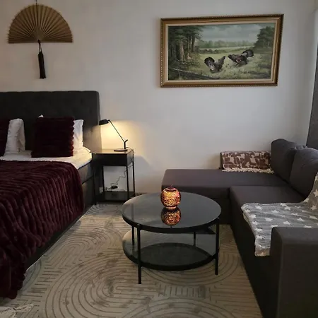 Huoneisto North Spirit Apartment,